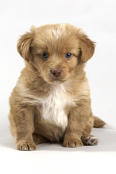 Similar image 8039779