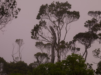 Similar image 8039794