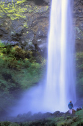 Similar image 8039796