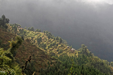 Similar image 8039798