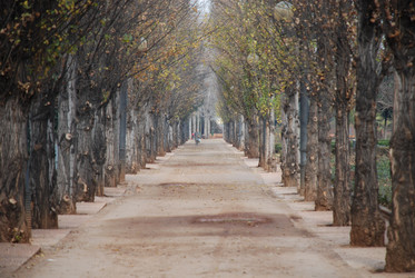 Similar image 8039824