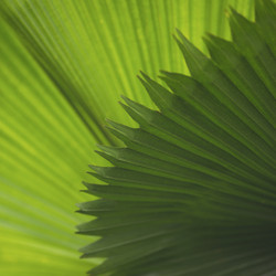 Similar image 8039828