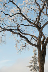 Similar image 8039834