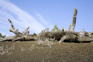 Similar image 8039840