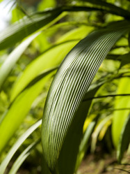 Similar image 8039844