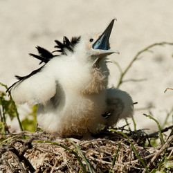 Similar image 8039848