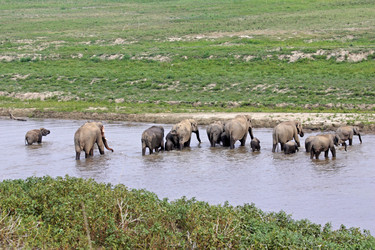 Similar image 8039850