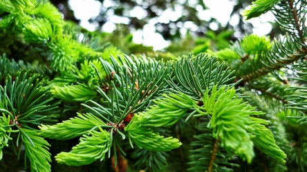 Similar image 8039853