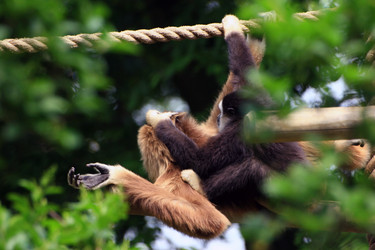 Similar image 8039869