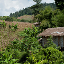 Similar image 8039885