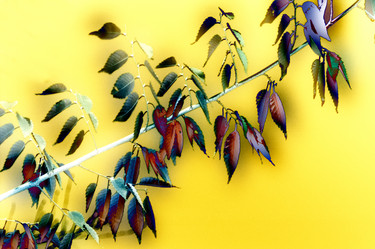 Similar image 8039886