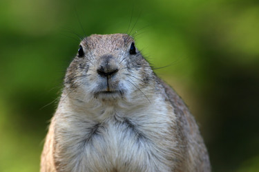 Similar image 8039888