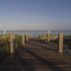 Similar image 8039892