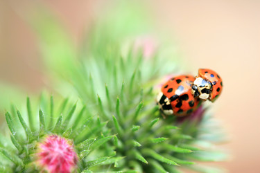 Similar image 8039895