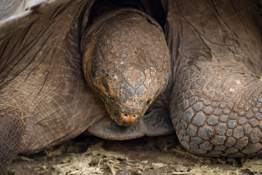 Similar image 8039906