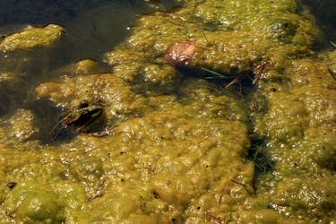 Similar image 8039911