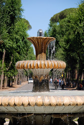 Similar image 8039912