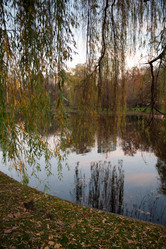 Similar image 8039915