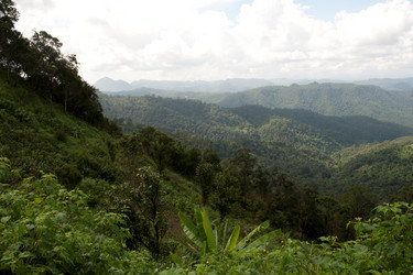 Similar image 8039917