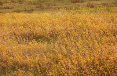 Similar image 8039921