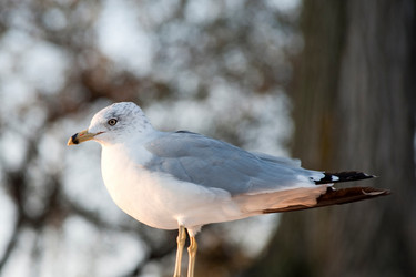 Similar image 8039925