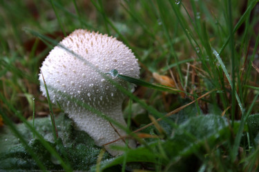 Similar image 8039928