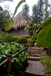 Similar image 8039930