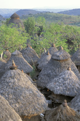 Similar image 8039934