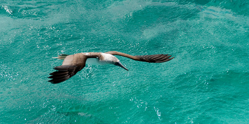 Similar image 8039937