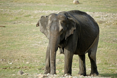 Similar image 8039938