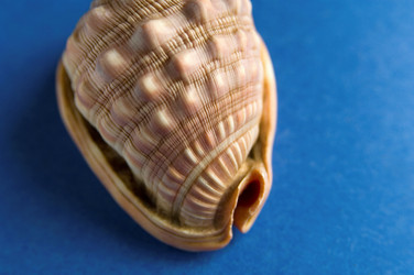 Similar image 8039942