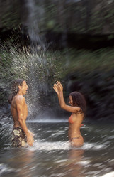 Similar image 8039946