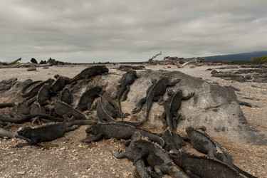 Similar image 8039954