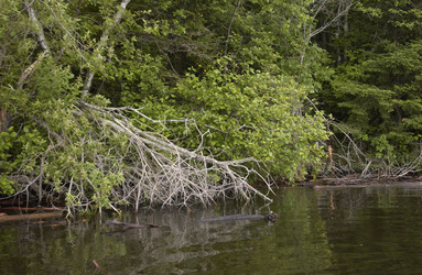 Similar image 8039957