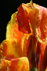 Similar image 8039958