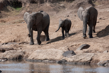 Similar image 8039961