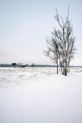 Similar image 8039963