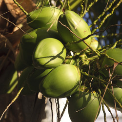 Similar image 8039968