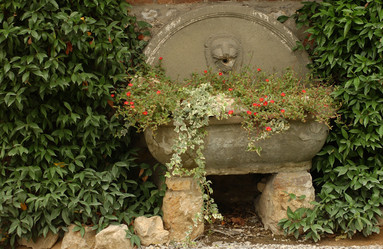 Similar image 8039970