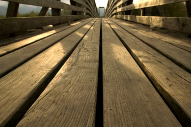 Similar image 8039973