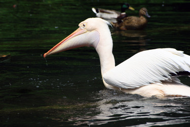 Similar image 8039980