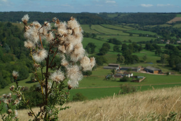 Similar image 8039987