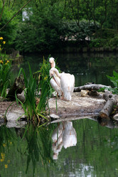 Similar image 8039999