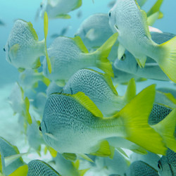 Similar image 8040020