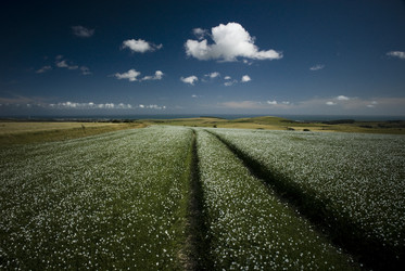 Similar image 8040023