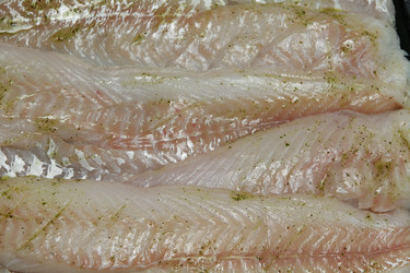 Similar image 8040031