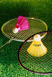 Similar image 8040040