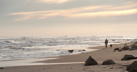 Similar image 8040042