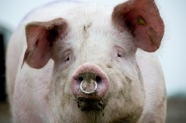 Similar image 8040044