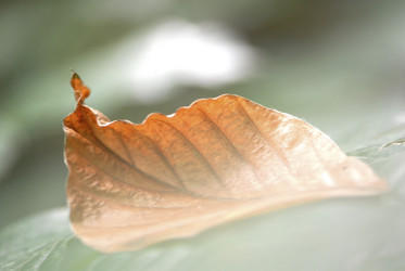 Similar image 8040046